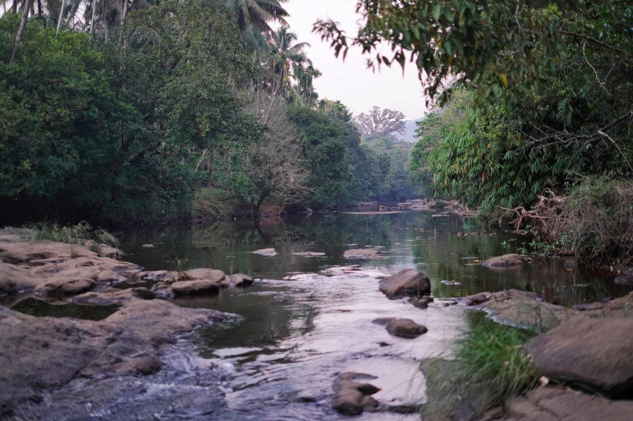 Athirapilly On The Rocks Ξενοδοχείο Athirappilly Εξωτερικό φωτογραφία