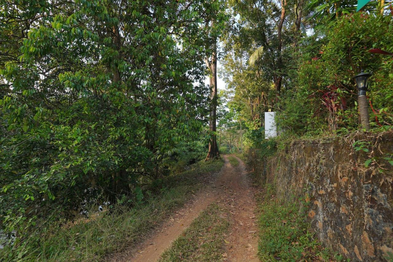 Athirapilly On The Rocks Ξενοδοχείο Athirappilly Εξωτερικό φωτογραφία